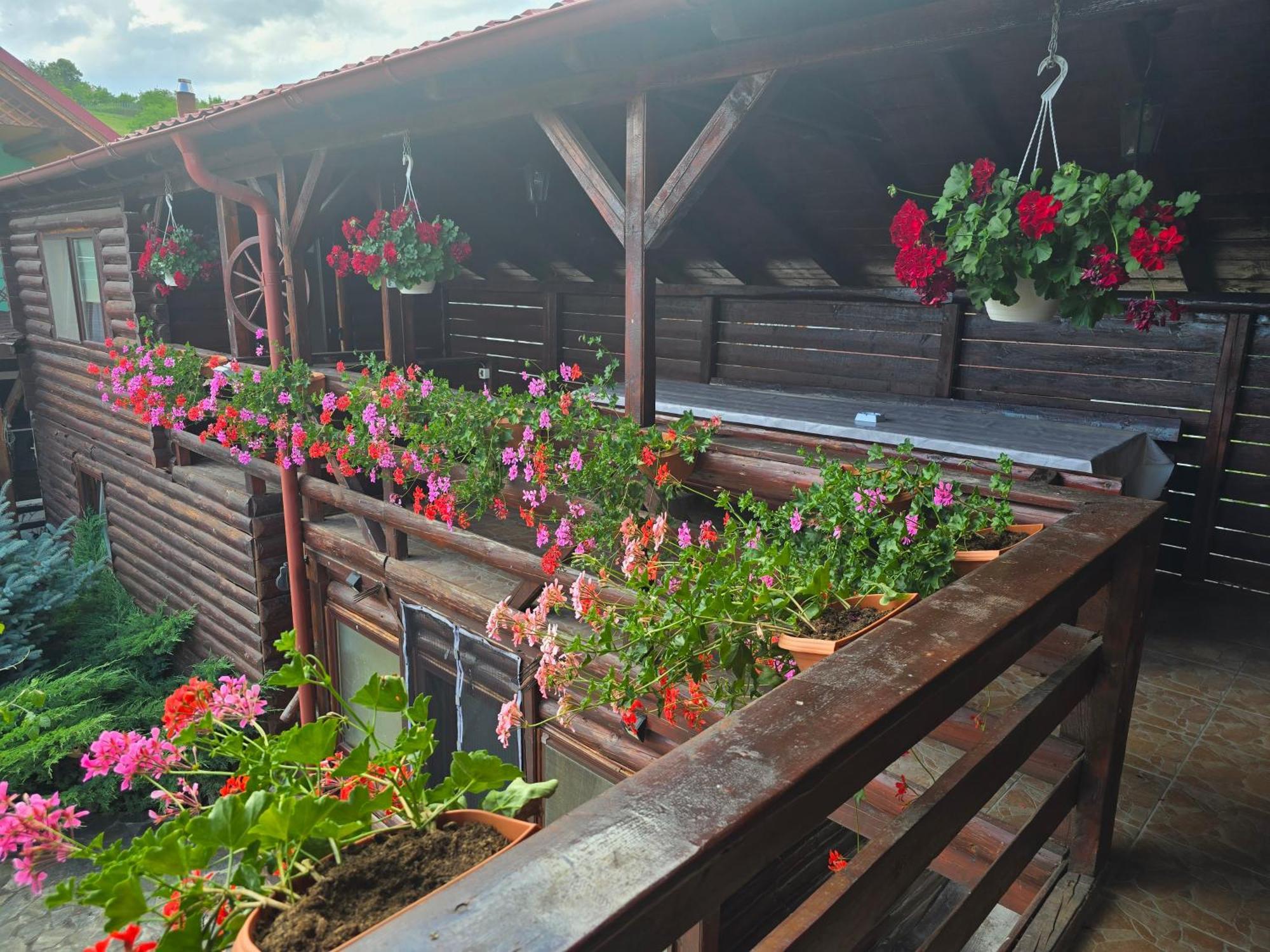 Vila Casa Baciu Turda Exteriér fotografie